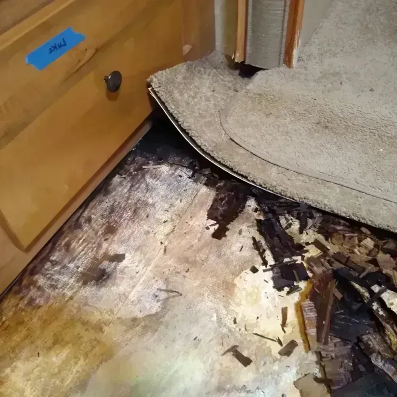 Wood Floor Water Damage in Bexley, OH